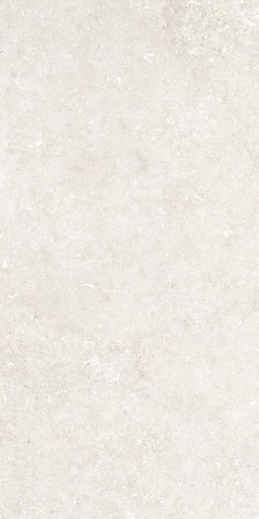 Untamed Wander White 12 x 24